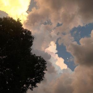 阿牛-桃花朵朵开（澪 remix）