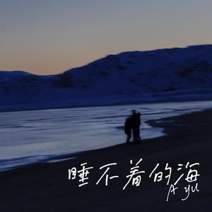 睡不着的海