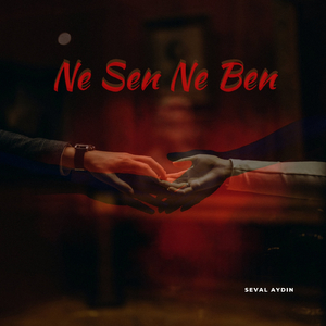 Ne Sen Ne Ben