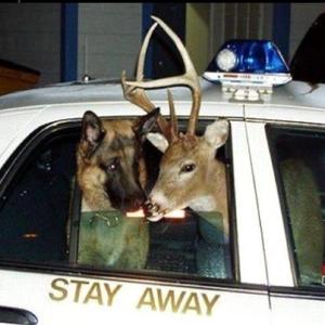 i wanted u, u wanted me to get better :