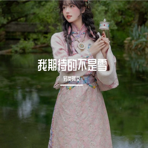 我期待的不是雪