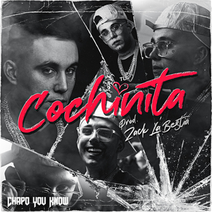Cochinita