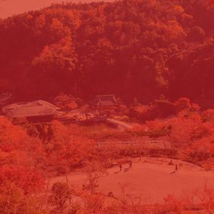 精彩周日的早午餐环境