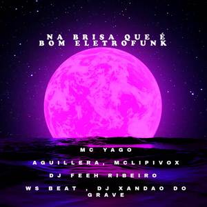 NA BRISA QUE É BOM VS O CHEIRO DO SKUNK (ELETROFUNK)