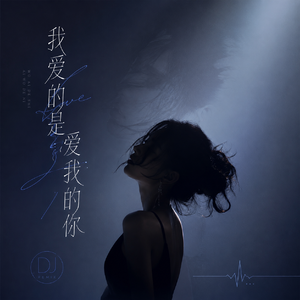 我爱的是爱我的你 （抖音热播 DJremix）
