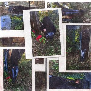 wyclef (feat. dyinglamour)