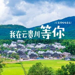 我在云贵川等你