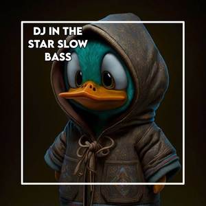 DJ IN THE STAR SLOW BASS