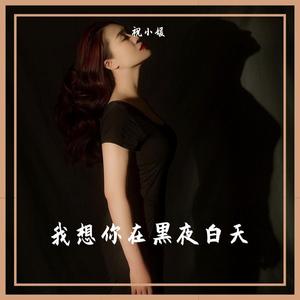 我想你在黑夜白天
