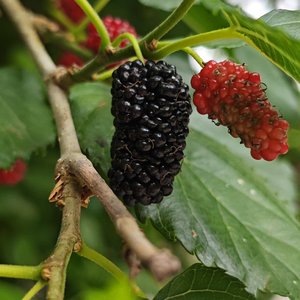 借点时间去春天探索