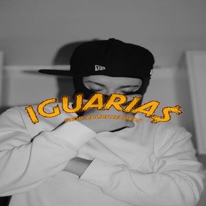 Iguarias
