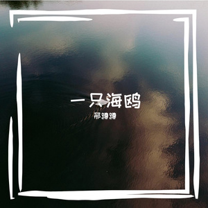 旧唱片转着黄昏