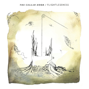 Flightlessness
