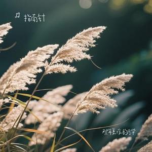 那年夏夜的月华