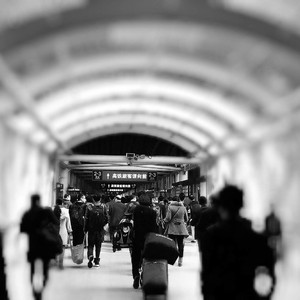 旧词（翻自 愚青）