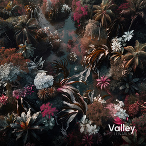 Valley