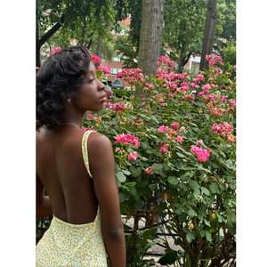 Sunshine to Moonshine