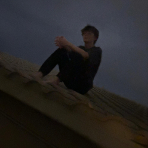 skipping across the telephone line