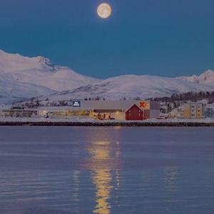 年少的歌(Cover 任然)