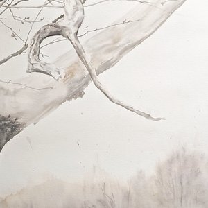 江流
