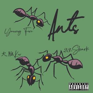 蚂蚁（prod by Red killer）