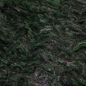 ii ✁ Chrysanthème