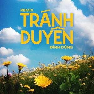 Tránh Duyên (Remix)