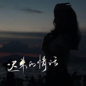 迟来的情话 (DJ天楚版)