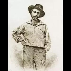 从滚滚的人海中(惠特曼，张绪茜 译)