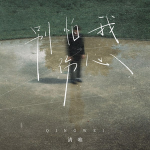 别怕我伤心 (DJ九零版)