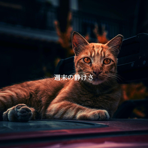 Background for Calm Nights