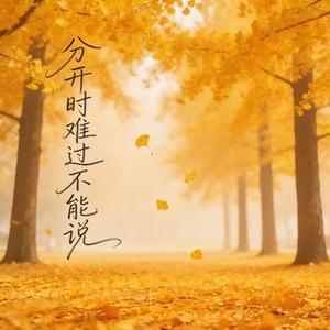 分开时难过不能说 (Remix)