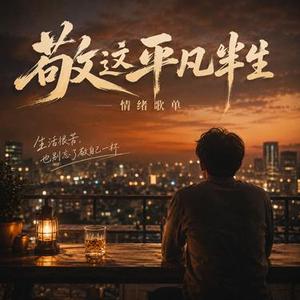 敬这平凡半生