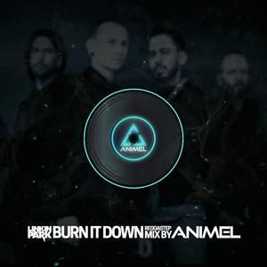 Burn It Down (Animel Remix)