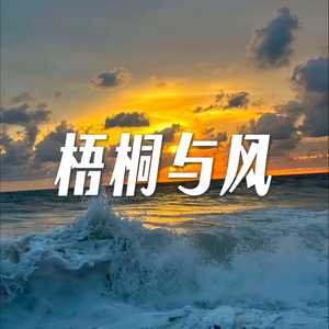 梧桐与风