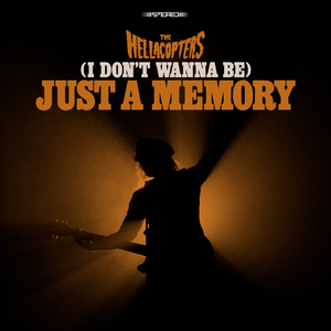 (I Don't Wanna Be) Just A Memory