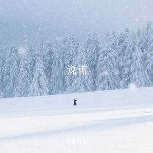 说谎(Cover 张信哲)
