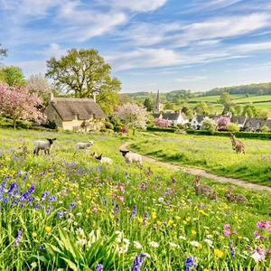 Spring Has Sprung Millie