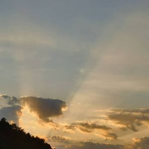 流沙-整曲 伴奏