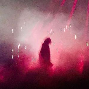 The Party Starting Slowed (feat. YONZE)