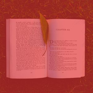 柔和的正在读书时刻