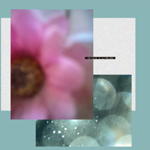 うつくしいもの