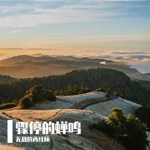 蔷薇与月光的圆舞曲