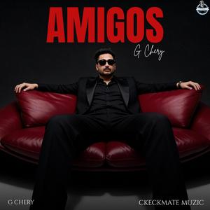 AMIGOS