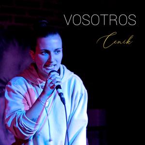 Vosotros