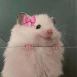 pink hair mullet