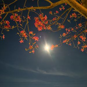 天空下无谱的歌