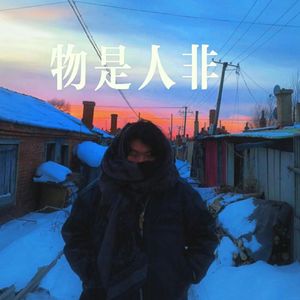 物是人非