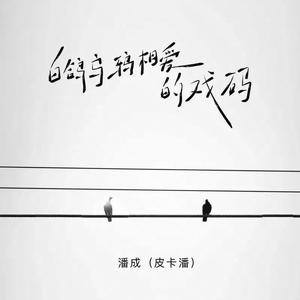 白鸽乌鸦相爱的戏码 潘成（皮卡潘）