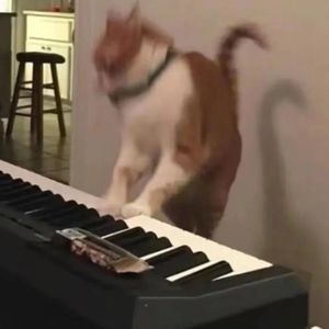 プラネタリウム （星象仪  伴奏）